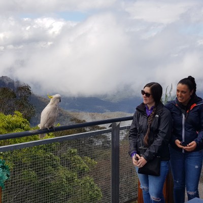 Meet our australian wildlife by ZANZA tours