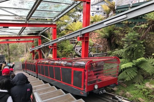 a group of people riding on the back of a train
