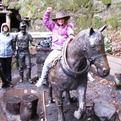 a person riding a horse