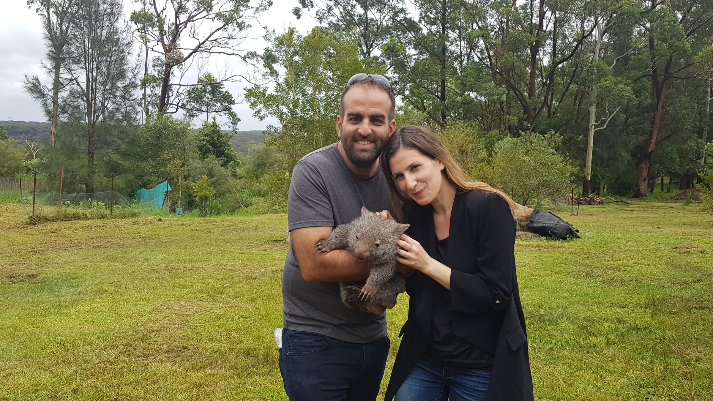 CuteBaby wombat by ZANZA tours