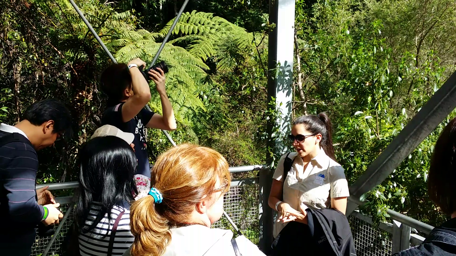 Expert in the rainforest by ZANZA tours