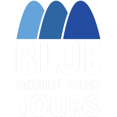 a close up of a logo