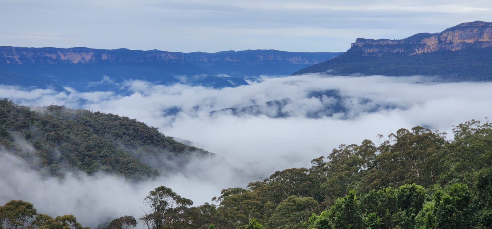 foggy mountanins A misty Blue Mountains landscape